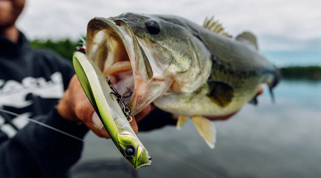 Unveiling the Secrets of Largemouth Bass Fishing