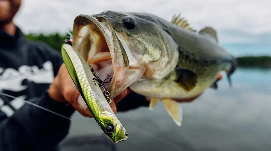 Unveiling-the-Secrets-of-Largemouth-Bass-Fishing Nex Fisher Hub