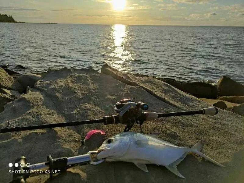 Bait caster rod with fish on rocky shoreline at sunset.