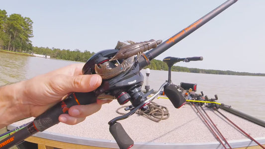 KastKing Royale Legend II & GT Baitcasting Reel: High Performance & Compact Design